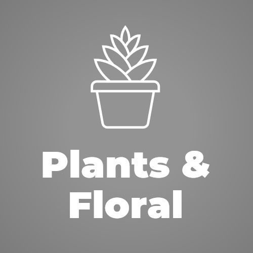 Plants & Floral